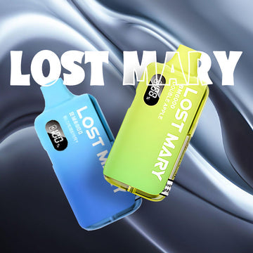 LOST MARY